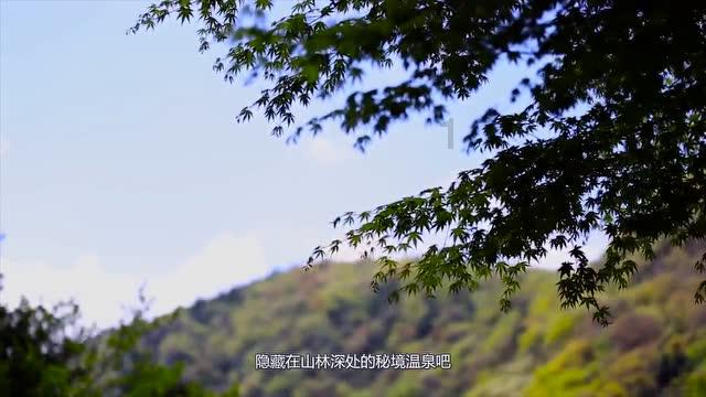拯救红松鼠